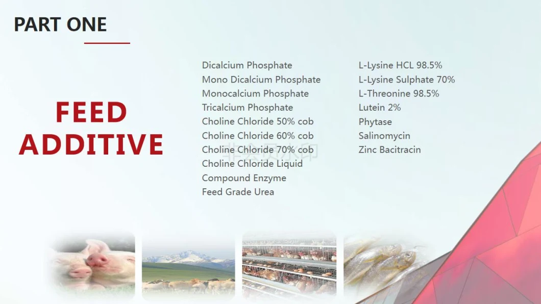 Shandong High Quality Lysine/Lysine Sulphate 70%