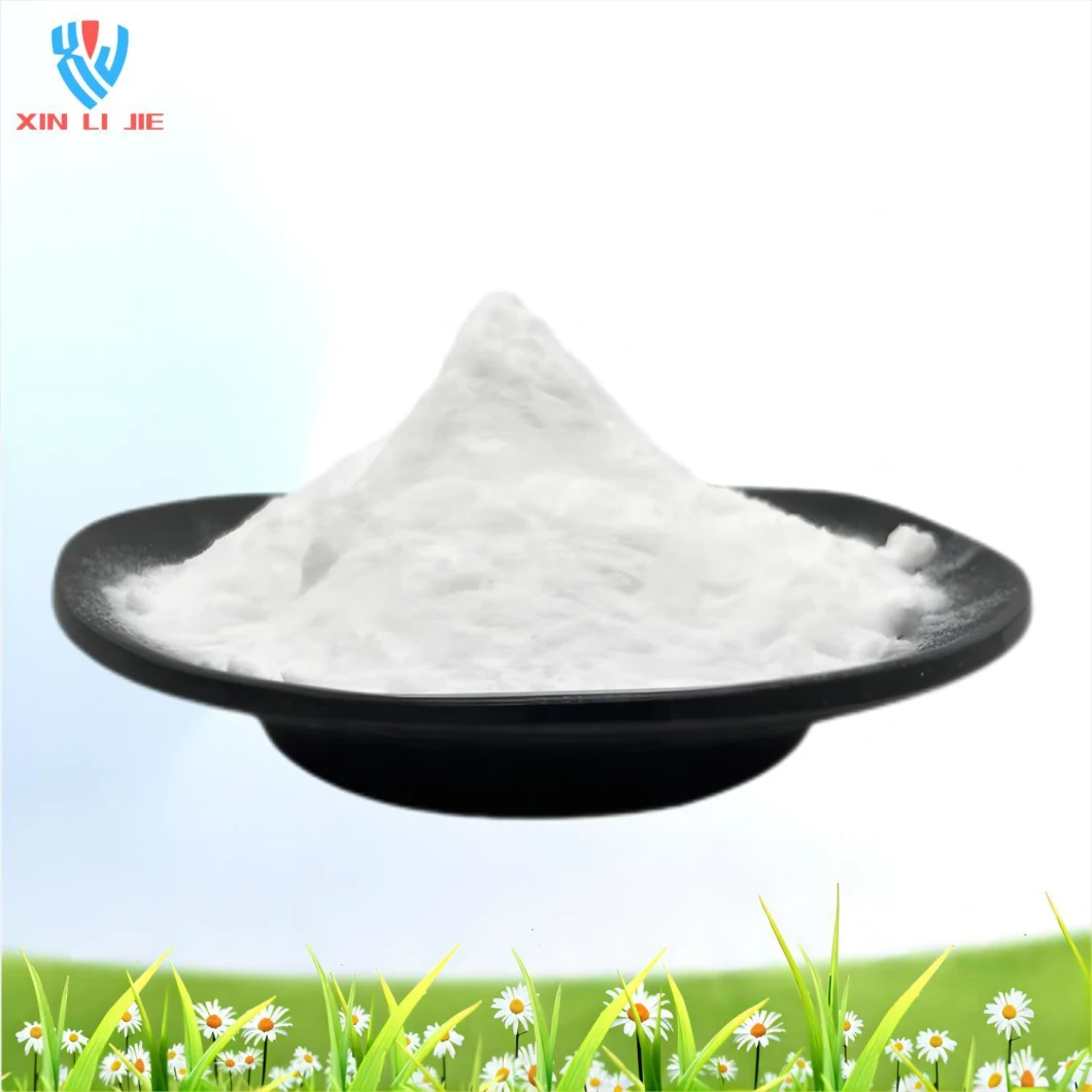 China Factory Chemicals Product CAS 7783-40-6 Magnesium Fluoride